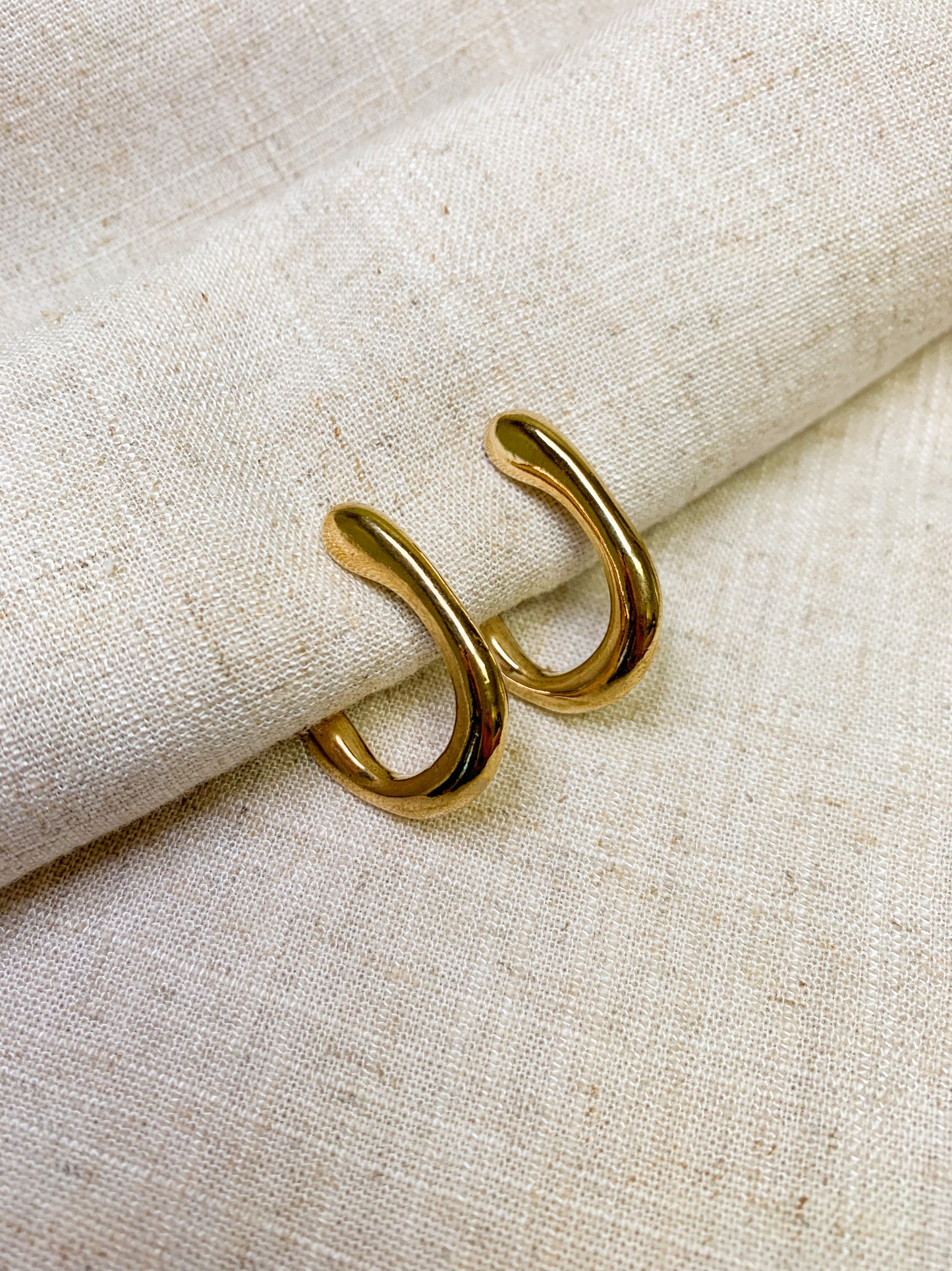 Curve Shape Earrings